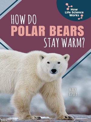 cover image of How Do Polar Bears Stay Warm?